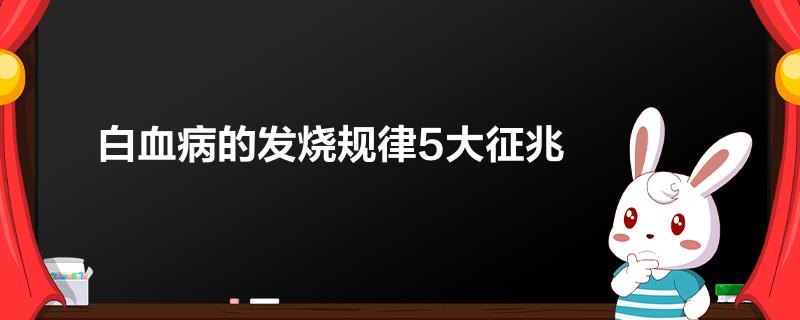 白血病的发烧规律5大征兆